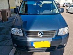 Grau Gebraucht 2009 VW Caddy Life Van / Kleinbus | 5.990 € (Fairer Preis)