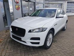 Weiß Gebraucht 2016 Jaguar F-Pace Pure SUV | 12.900 € (Fairer Preis)