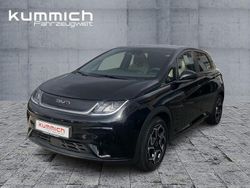 Schwarz Neu 2025 BYD Dolphin Design Kleinwagen | 29.890 € (Fairer Preis)