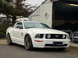 Weiß Gebraucht 2006 Ford Mustang GT S Coupé | 15.000 € (Guter Preis)