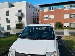 Weiß Gebraucht 2009 Fiat Panda Kleinwagen | 1.500 € (Fairer Preis)