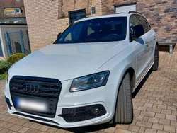 Weiß Gebraucht 2017 Audi SQ5 S-Line SUV | 31.900 € (Etwas zu teuer)