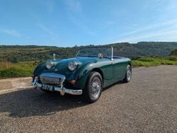 Grün Gebraucht 1959 Austin Healey Sprite Cabrio | 23.000 €