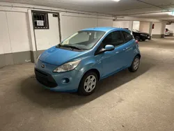 Blau Gebraucht 2009 Ford Ka Trend Kleinwagen | 1.399 € (Guter Preis)