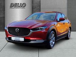 Andere Gebraucht 2021 Mazda CX-30 Selection SUV | 19.990 € (Fairer Preis)