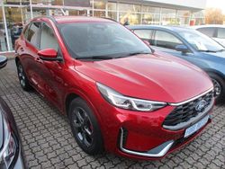 Rot Neu 2025 Ford Kuga ST-Line X SUV | 43.990 €