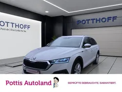 Weiss Gebraucht 2023 Skoda Octavia Kombi | 27.777 € (Guter Preis)