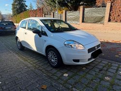 Weiß Gebraucht 2009 Fiat Grande Punto Kleinwagen | 1.999 €