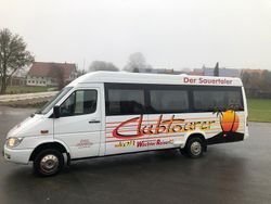 Weiß Gebraucht 2006 Mercedes 416 Van | 9.900 €