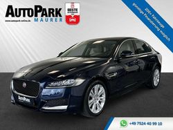 Blau Gebraucht 2021 Jaguar XF Prestige Limousine | 20.998 €