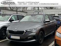 Grau Gebraucht 2022 Skoda Scala Tour Kleinwagen | 15.990 € (Fairer Preis)