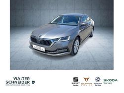 Grau Gebraucht 2024 Skoda Octavia Style Limousine | 28.950 € (Superpreis)