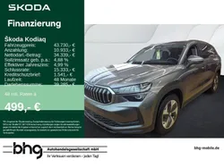 Graphitegrau metallic Gebraucht 2024 Skoda Kodiaq Selection SUV | 43.730 € (Guter Preis)