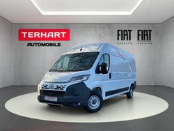 Weiss (pastell)) (weiss Neu 2025 Fiat Ducato Van | 34.495 € (Fairer Preis)