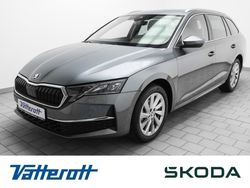 Grau Gebraucht 2024 Skoda Octavia Selection Kombi | 29.960 € (Fairer Preis)