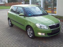 Grün Gebraucht 2014 Skoda Fabia Ambition Kleinwagen | 4.450 € (Etwas zu teuer)