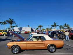 Burnt amber Gebraucht 1967 Ford Mustang Coupé | 26.900 €