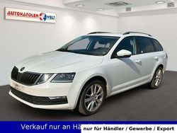 Weiß Gebraucht 2017 Skoda Octavia Joy Kombi | 6.499 € (Superpreis)