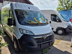 Lackierung weiss Gebraucht 2024 Opel Movano Van | 28.780 € (Superpreis)