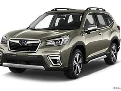 Gold Gebraucht 2025 Subaru Forester Active SUV | 32.523 € (Superpreis)