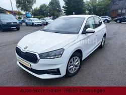 Grau Gebraucht 2024 Skoda Fabia Selection Limousine | 17.990 € (Guter Preis)