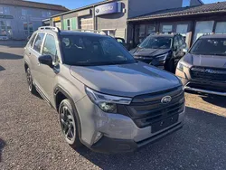 River rock Gebraucht 2025 Subaru Forester Exclusive+ SUV | 40.252 € (Guter Preis)