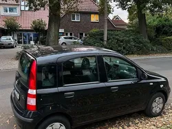 Schwarz Gebraucht 2008 Fiat Panda Active Kleinwagen | 1.999 € (Fairer Preis)