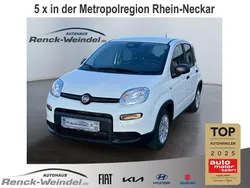 Weiß Gebraucht 2024 Fiat Panda Kleinwagen | 14.989 € (Etwas zu teuer)
