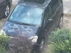 Schwarz Gebraucht 2003 Opel Meriva Van / Kleinbus | 350 € (Superpreis)