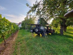 Gebraucht 1997 Land Rover Discovery SUV | 22.999 €