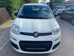 Weiß Gebraucht 2019 Fiat Panda Kleinwagen | 6.790 € (Etwas zu teuer)