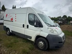 Weiß Gebraucht 2007 Fiat Ducato Van | 2.900 € (Superpreis)