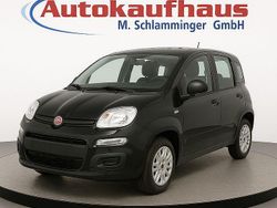 Schwarz Neu 2025 Fiat Panda S Kleinwagen | 12.790 € (Guter Preis)