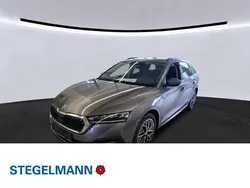 Graphitegrau metallic Gebraucht 2022 Skoda Octavia Ambition Kombi | 21.590 € (Fairer Preis)