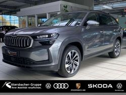 Graphitegrau metallic Neu 2025 Skoda Kodiaq Selection SUV | 53.990 € (Etwas zu teuer)