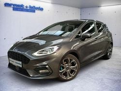 Grau Gebraucht 2019 Ford Fiesta ST-Line Kleinwagen | 12.990 € (Fairer Preis)