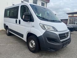 Weiß Gebraucht 2016 Fiat Ducato Van | 17.499 € (Fairer Preis)