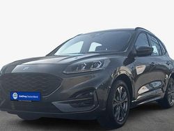Grau Gebraucht 2024 Ford Kuga ST-Line SUV | 26.549 € (Guter Preis)