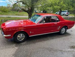 Rot Gebraucht 1966 Ford Mustang Coupé | 38.500 €
