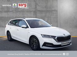 Weiss Gebraucht 2022 Skoda Octavia Ambition Kombi | 24.490 € (Fairer Preis)