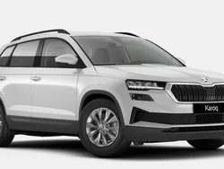 Moonweiß perleffekt Neu 2025 Skoda Karoq Selection SUV | 30.749 € (Etwas zu teuer)