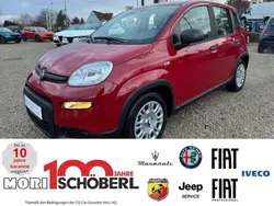Passione rot Neu 2024 Fiat Panda Kleinwagen | 15.990 €