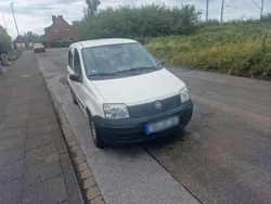 Weiß Gebraucht 2009 Fiat Panda Kleinwagen | 1.900 € (Etwas zu teuer)