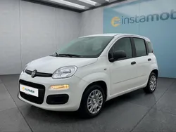 Weiß Neu 2025 Fiat Panda Kleinwagen | 14.999 € (Fairer Preis)