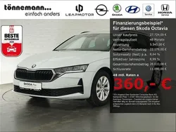 Weiss Gebraucht 2024 Skoda Octavia Ambition Kombi | 27.724 € (Guter Preis)