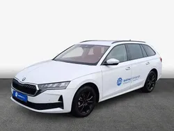 Moon white metallic Gebraucht 2024 Skoda Octavia Selection Kombi | 33.880 € (Fairer Preis)