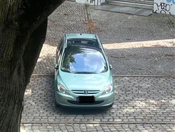 Grün Gebraucht 2004 Peugeot 307 Premium Limousine | 799 € (Superpreis)
