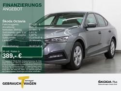 Grau Gebraucht 2024 Skoda Octavia Selection Limousine | 23.870 € (Superpreis)