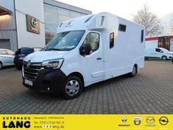 Mineral weiss Gebraucht 2023 Renault Master Van | 81.990 €