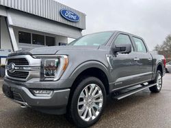 Grau (carbonized grey metallic) Neu 2024 Ford F-150 Limited Abholung | 106.470 €